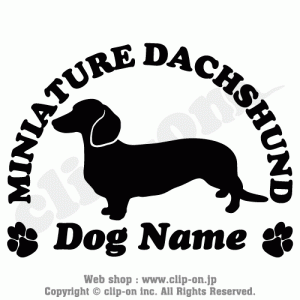 DOGS DACS S03N 300x300 - DOGS_DACS_S03N