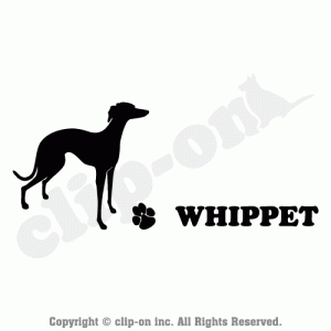 DOGS_WIPT_S04R