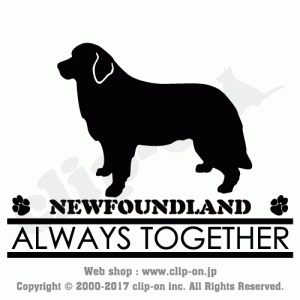 DOGS NFLD S02 300x300 - DOGS_NFLD_S02