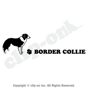 DOGS_BDCL_S04R