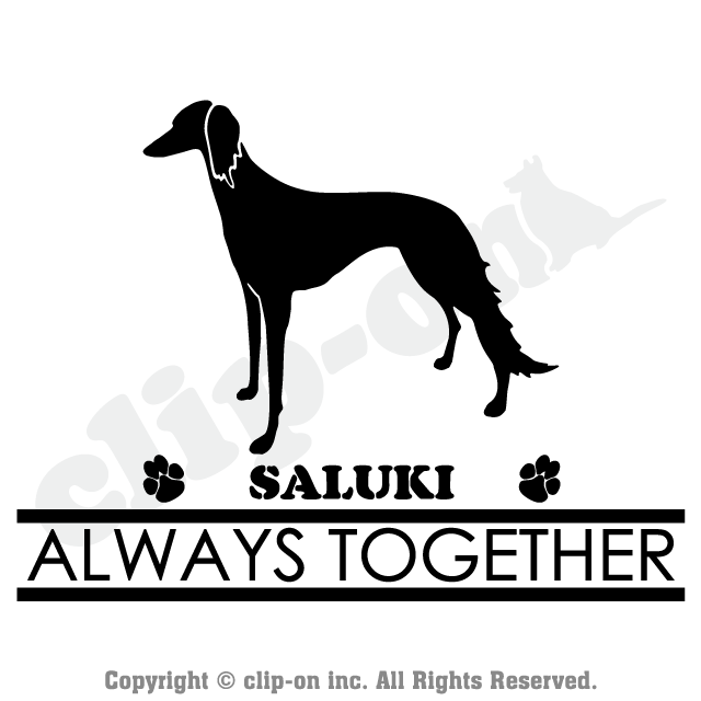 DOGS_SALK_S02