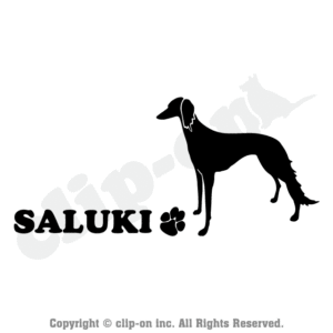 DOGS SALK S04L 300x300 - DOGS_SALK_S04L