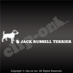 DOGS JRTR S04R WH 300x300 - DOGS_JRTR_S04R_WH