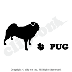 DOGS PUG S04R 1 300x300 - DOGS_PUG_S04R
