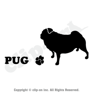 DOGS_PUG_S14L
