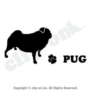 DOGS PUG S14R 1 300x300 - DOGS_PUG_S14R