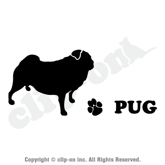DOGS_PUG_S14R
