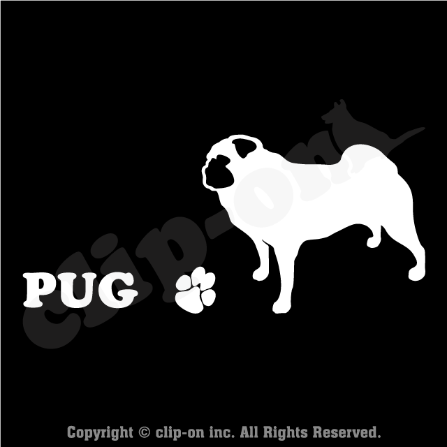 DOGS_PUG_S24L