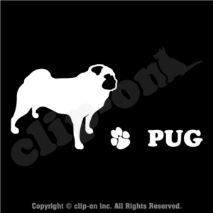 DOGS_PUG_S24R