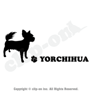 DOGS YOCH S04R 300x300 - DOGS_YOCH_S04R