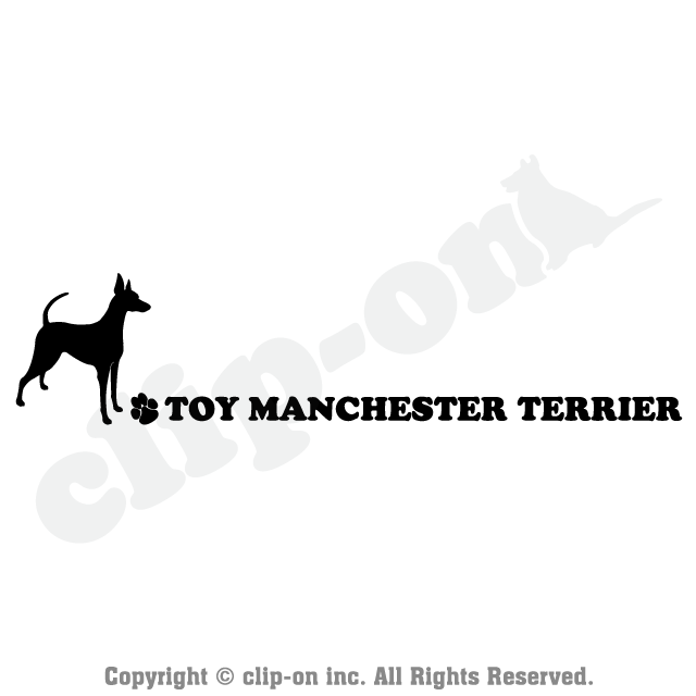 DOGS_TMTR_S04R