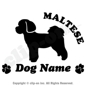 DOGS MALC S03N 300x300 - DOGS_MALC_S03N
