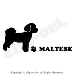 DOGS MALC S04R 300x300 - DOGS_MALC_S04R