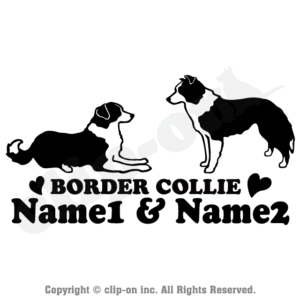 DOGS BDCL W52N 300x300 - DOGS_BDCL_W52N