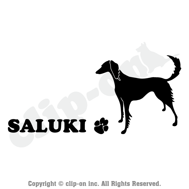 DOGS_SALK_S14L
