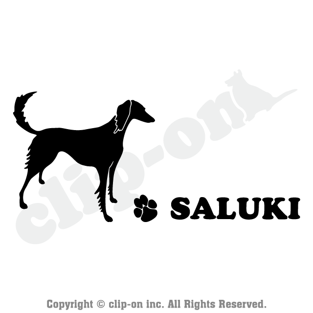 DOGS_SALK_S14R