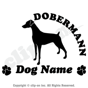 DOGS DBMN S13N 300x300 - DOGS_DBMN_S13N