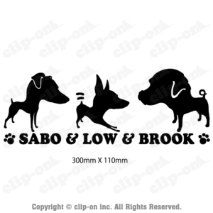 C00000376 300x300 - C00000376