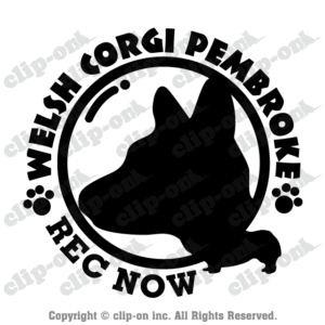 顔でか！ウェルシュ・コーギー・ペンブローク_S51【ドラレコ・ステッカー】