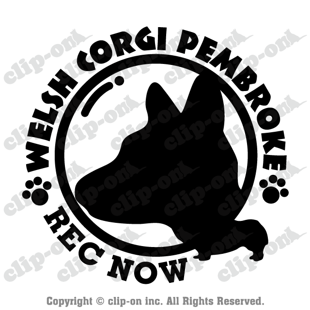 顔でか!ウェルシュ・コーギー・ペンブローク_S51【ドラレコ・ステッカー】