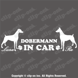 顔でか！ウェルシュ・コーギー・ペンブローク_S51【ドラレコ・ステッカー】