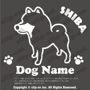 DFGS SHBA S15NWH 300x300 - DFGS_SHBA_S15NWH